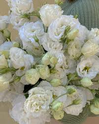 Maybe you would like to learn more about one of these? Pin By Etty On Upper East Side In 2020 Flower Aesthetic Plant Aesthetic Beautiful Flowers