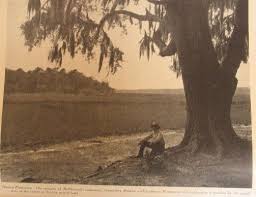 Pin On History Of Bindon Plantation Pocotaligo South Carolina
