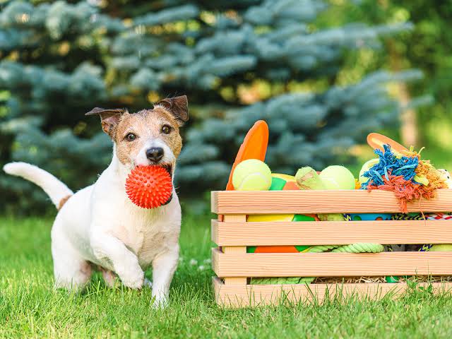 Pet Toys