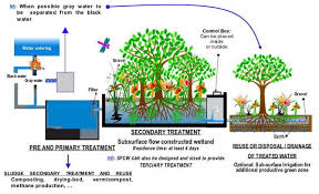 sewage treatment wikipedia