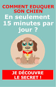 Vous cherchez un nom de chien en m ? Nom Pour Chien En S Pour 2021 Nos 500 Meilleures Idees