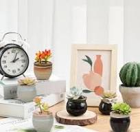 Todo regalo de plantas suculentas puede hacer que cualquier ...