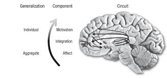 Image result for Higher Integrative Function