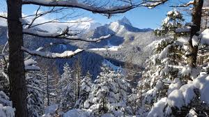 A collection of the top 59 winter mountain wallpapers and backgrounds available for download for free. Wallpaper Poland Tatra Nature Winter Mountains Snow Trees 2560x1440