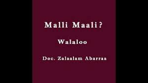 40+ listes de dr.zelalem abera walalloo: Download Dr Zelalem Abera Tesfa Malli Maali 3gp Mp4 Codedfilm