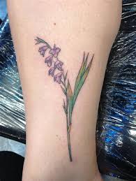 We did not find results for: Gladiolus Symbolism Shefalitayal