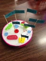 Cells aren't just the basis of life; Grade 8 Animal Cell Models Animal Cells Model Cell Model Animal Cell