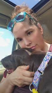 Sheltie rescue dog's first grooming results