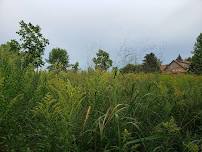 *FREE* Take a Walk on the WILD Side: at the WILD Center