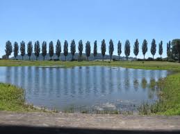 Search for cheap and discounted hotel and motel rates in or near cudrefin, switzerland for your. Cudrefin 2021 Best Of Cudrefin Switzerland Tourism Tripadvisor