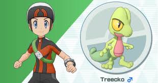 pokemon masters brendan treecko sync pair stats moves