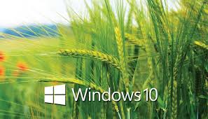 مجموعة من اجمل خلفيات ويندوز 10