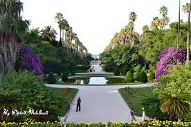 Jardin D Essai Du Hamma Algiers Algeria Algeria Tunisia Algiers