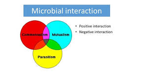 A demonstration is given in this instance of the interaction between a given genotypic constitution and a special environment. Microbial Interaction And Types Mutualism Syntropism Proto Cooperation Commensalism Antagonism Parasitism Predation Competition Online Biology Notes