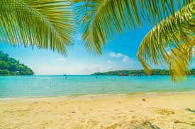 Maybe you would like to learn more about one of these? Free Photo Beautiful Tropical Beach And Sea