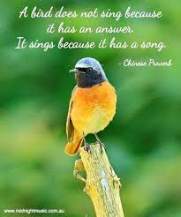 Bird Bird Bird Bird Is The Word Song Chirp Chirp Love Birds Quotes Music Education Quotes Music Quotes