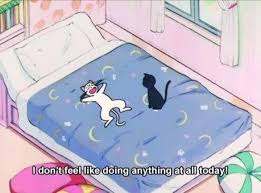 I do not take credit for any of the gifs posted! ãããããã®