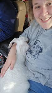 Are there any bottle babies available in the Stockton, Kansas area?