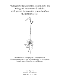 Image result for Thomandersia laurentii