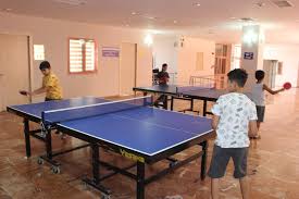 Raman urme de la palete pe ea daca ratezi o minge, care nu se mai sterg deloc, dar nu am incercat solutii pe ea sa le indepartez. Masa Tenisi Kursu