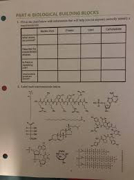 Solved Part 4 Biological Building Blocks 1 Fill In The