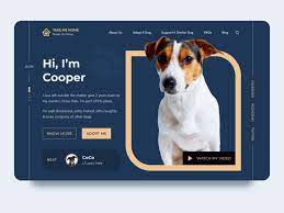 Take Me Home Shelter For Strays Landing Page Home Shelter Take Me Home Landing Page