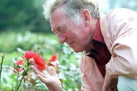 Elderly couple's anger after 'dreadful' Stanley Park rose thefts