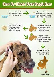 It is important to keep incisions clean and prevent scabs from developing. Dogs Stuff This Article Contains All The Dog Related Answers You Need Check Out The Image By Visiting The Link Do Dog Ear Cleaner Dog Remedies Dog Info