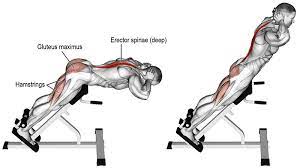 Lower back pain is common, but doing strengthening exercises can relieve symptoms. 5 Best Lower Back Exercises Workout The Trend Spotter