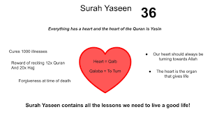 I believe in allahсура ясин surah yasin. Surah Yaseen Storytelling Sessions Islam From The Start