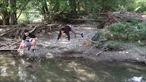 Antonio vassallo 60 views1 year ago. I Roditori Del Bisenzio Diventano Protagonisti Del Video Usa E Dal Fiume Spunta Anche Il Re Nutria Video Tv Prato