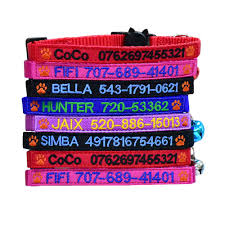 Lupine pet cat collars with breakaway buckles offer release in a pinch. Graceful Life Custom Breakaway Cat Collar Personalized Cat Id Collar Embroidered Pet Name Phone Safety Collars With Bell Buy Online In Mongolia At Mongolia Desertcart Com Productid 94525096