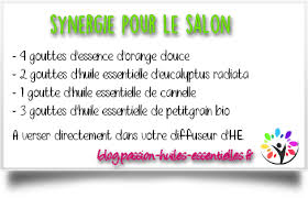 3 Synergies D Huiles Essentielles A Diffuser Dans La Maison Huiles Essentielles Synergie Huile