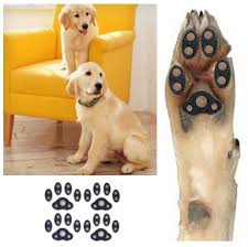 Dog paw pad hyperkeratosis is one of these thing. Paw Pads Self Adhesive Traction Pads Dog Paw Care Paw Pads Dog Items