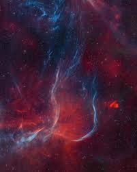 Image result for Searsia nebulosa
