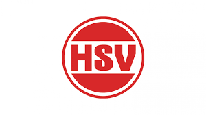 Logo de iconos de computadora, logo de instagram, logo de instagram, diverso, texto, símbolo png. Hsv Sportfest 2017 Sv Hovelhof