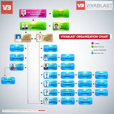 Company Organization Chart Vivablast