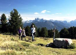 Rittner horn the rittner horn is a mountain in south tyrol, italy.rittner horn has an elevation of 2260 metres. Rittner Horn Wanderung Sudtirol Sarntaler Alpen Tourentipp Com