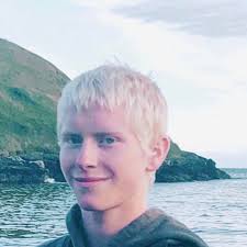 Local business offers window and lawn care services