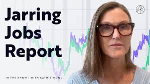 Macy's Asset Protection Insights