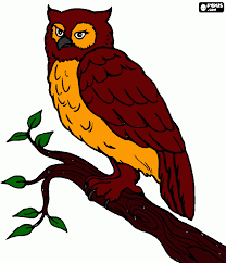 Coruja Colorida Para Imprimir Desenho Coruja Colorida Outros preferem imprimir imagens para que sirvam de modelo para pintar sobre tela ou mesmo na parede. coruja colorida para imprimir desenho