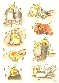 Theroseinthedarkness Cute Birds Pet Birds Bird Sketch