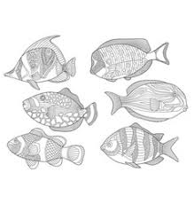 Maybe you would like to learn more about one of these? Underwater Tropical Fishes Coloring Page Set Vector Image