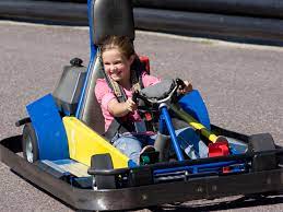The price is well worth it. Adare Go Carts Wisdells