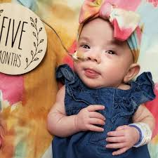 Fundraiser for Derek Burns by Macy Jackson : Fallon's Medical Fund