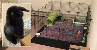 I filmed this awhile ago, but didn't upload it until now because it was on my old computer that died. How To Build A Bunny Enclosure