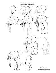 Draw An African Grassland Elephant Drawing Elephant Art Animal Drawings