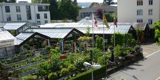 Kurzurlaub in frauenfeld schweiz im thurgau. Blumen In Frauenfeld Blumengarten Kung Ag