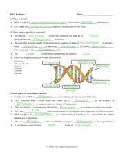 Learn vocabulary, terms and more with flashcards, games and other study tools. Dna Fingerprinting Worksheet 1 Ans Pdf Name Adham Samy Saad Elasfar Date Period 11 E Dna Fingerprinting Works Heet 1 The Dna Fingerprints Were Made Course Hero