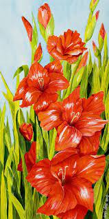 Pin On Gladiolus